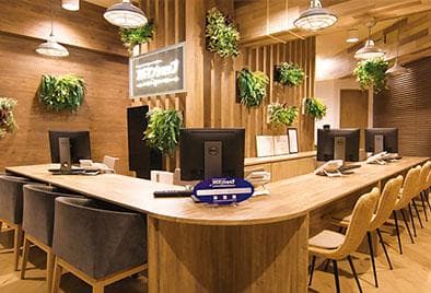 木目調のカウンターと観葉植物で落ち着いた雰囲気の店内
